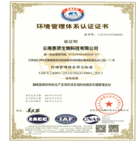 ISO 14001 environmental management certificate