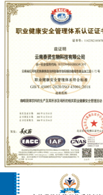 ISO 45001 occupational health and safety certificate