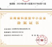 Yunnan sci-tech SME certificate